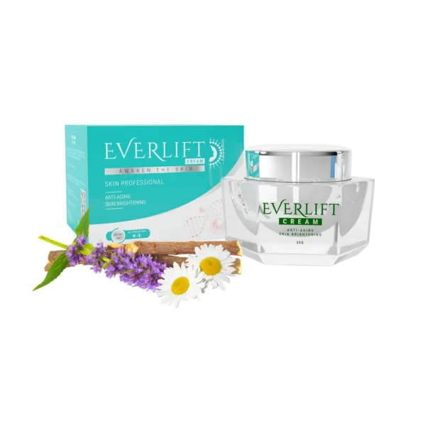 Everlift